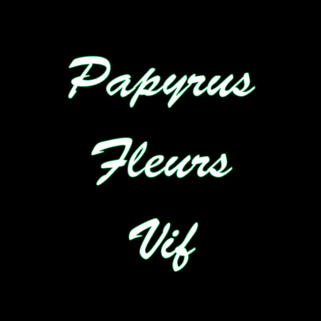 Papyrus Fleurs Vif